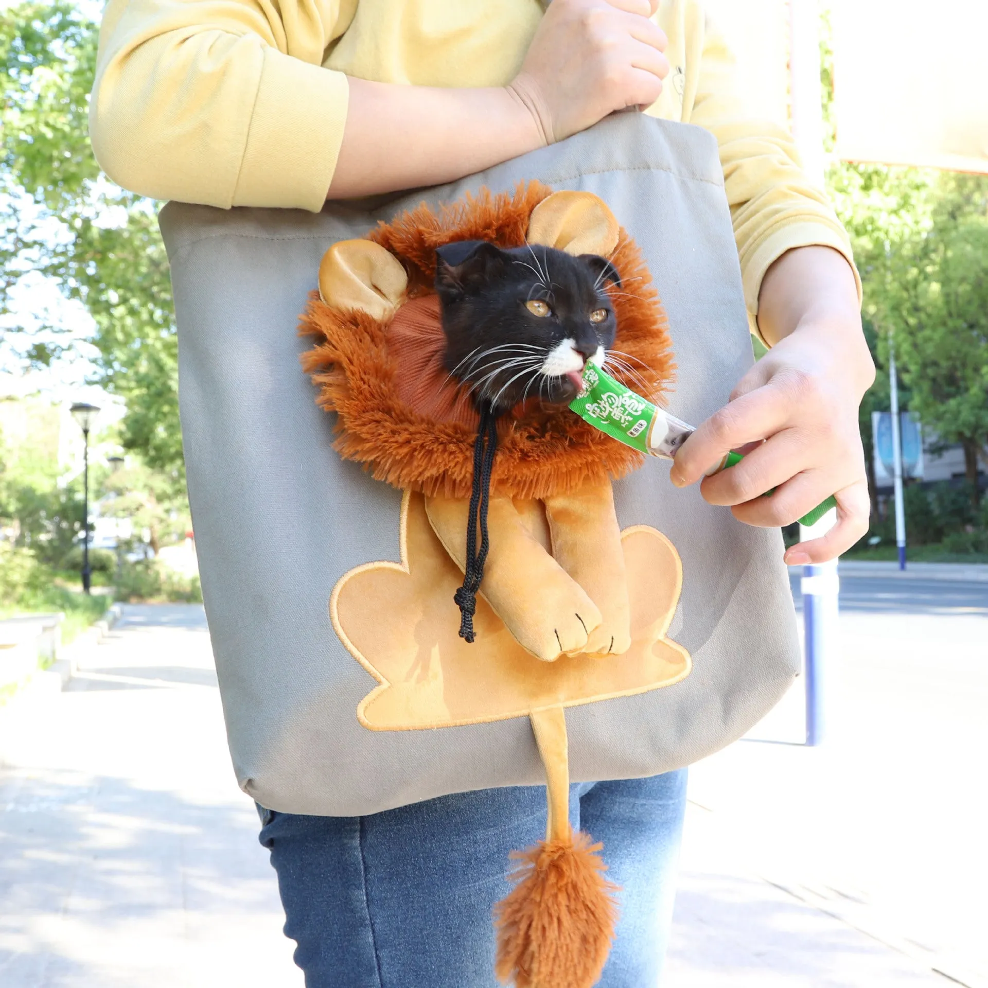 Lion Design Breathable Cat - Dog Carrier