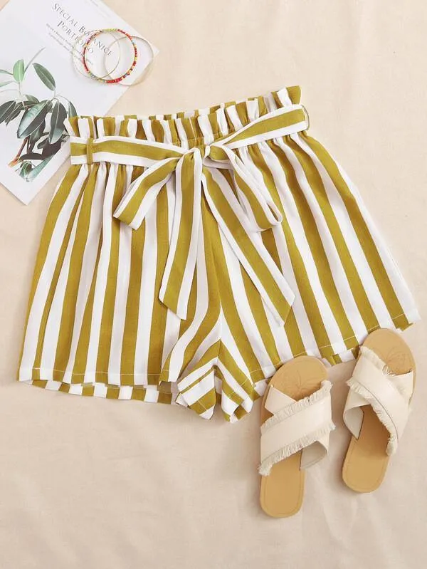 Paperbag Waist Two Tone Striped Belted Shorts