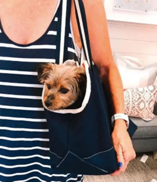 Pet Carrier Tote Bag