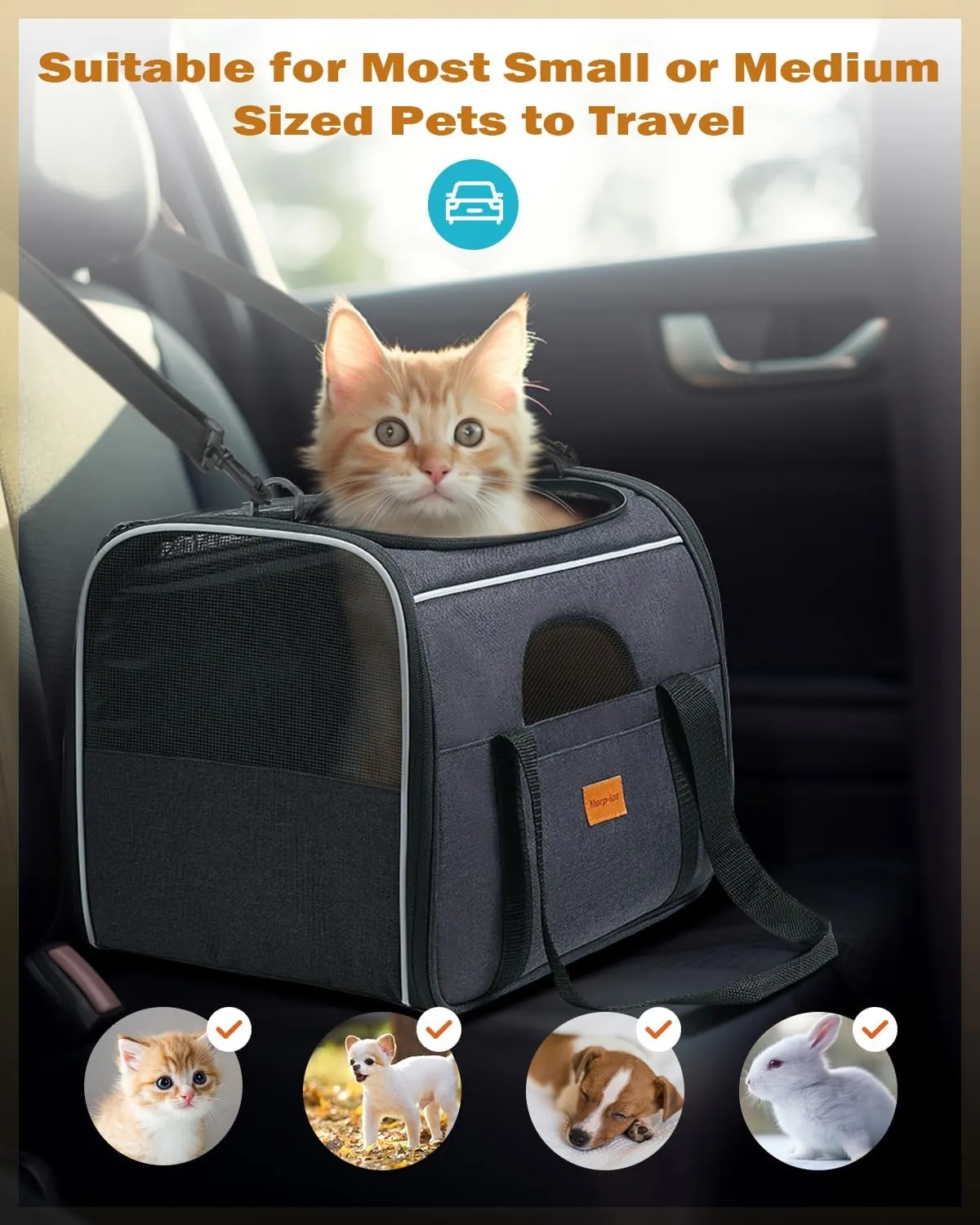 Portable Pet Bag - Folding Fabric Pet Carrier with Locking Safety Zippers, Airline Approved