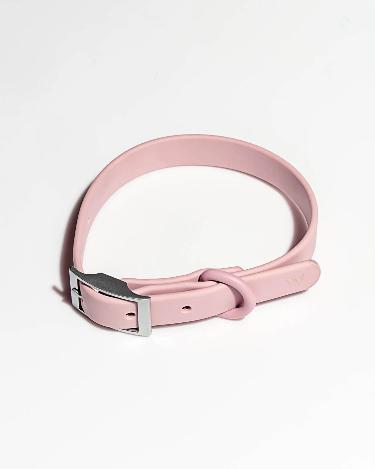 Splendid x Wild One Dog Collar