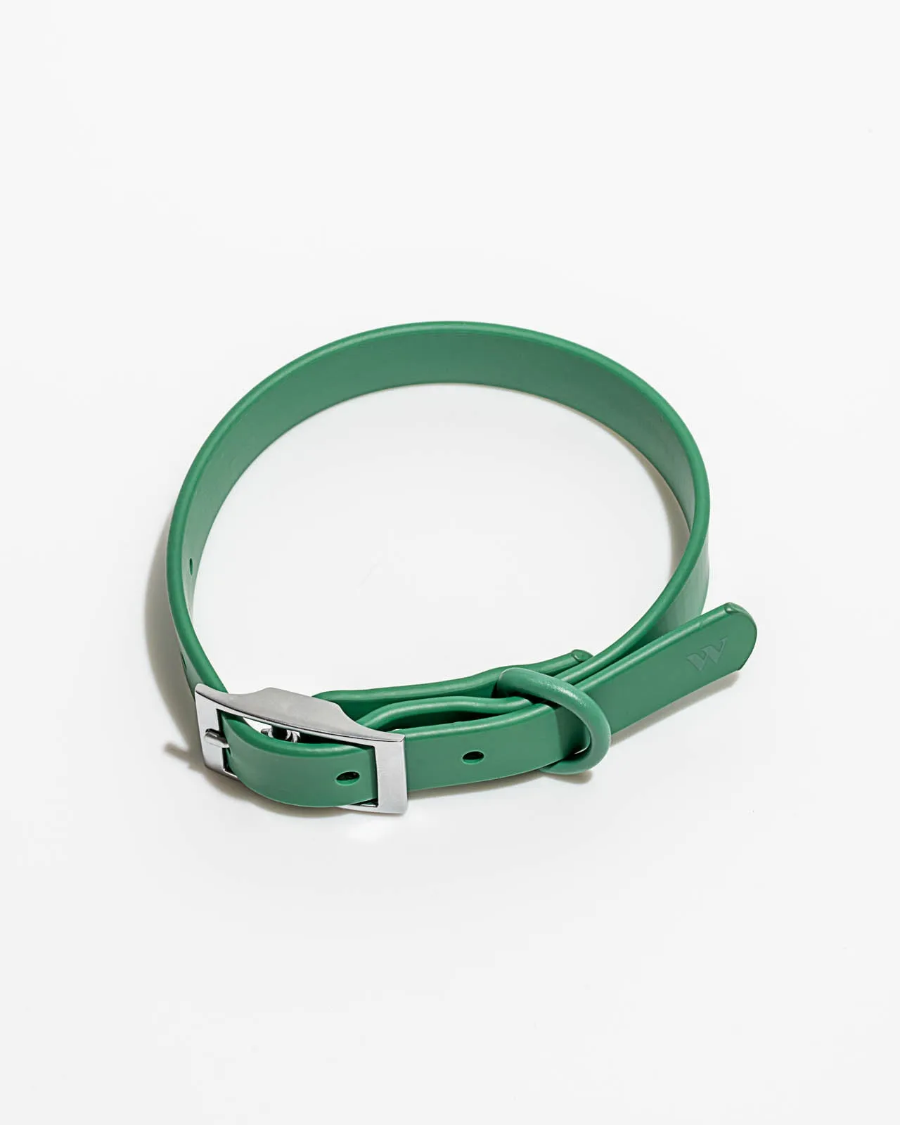 Splendid x Wild One Dog Collar