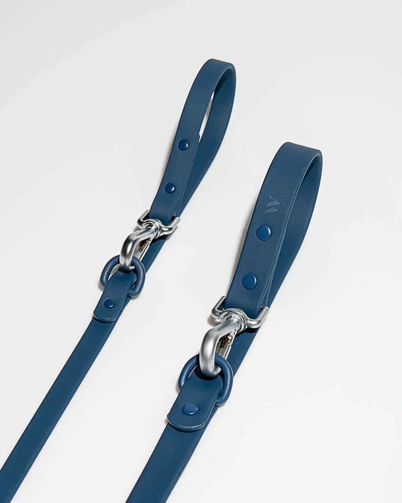 Splendid x Wild One Leash