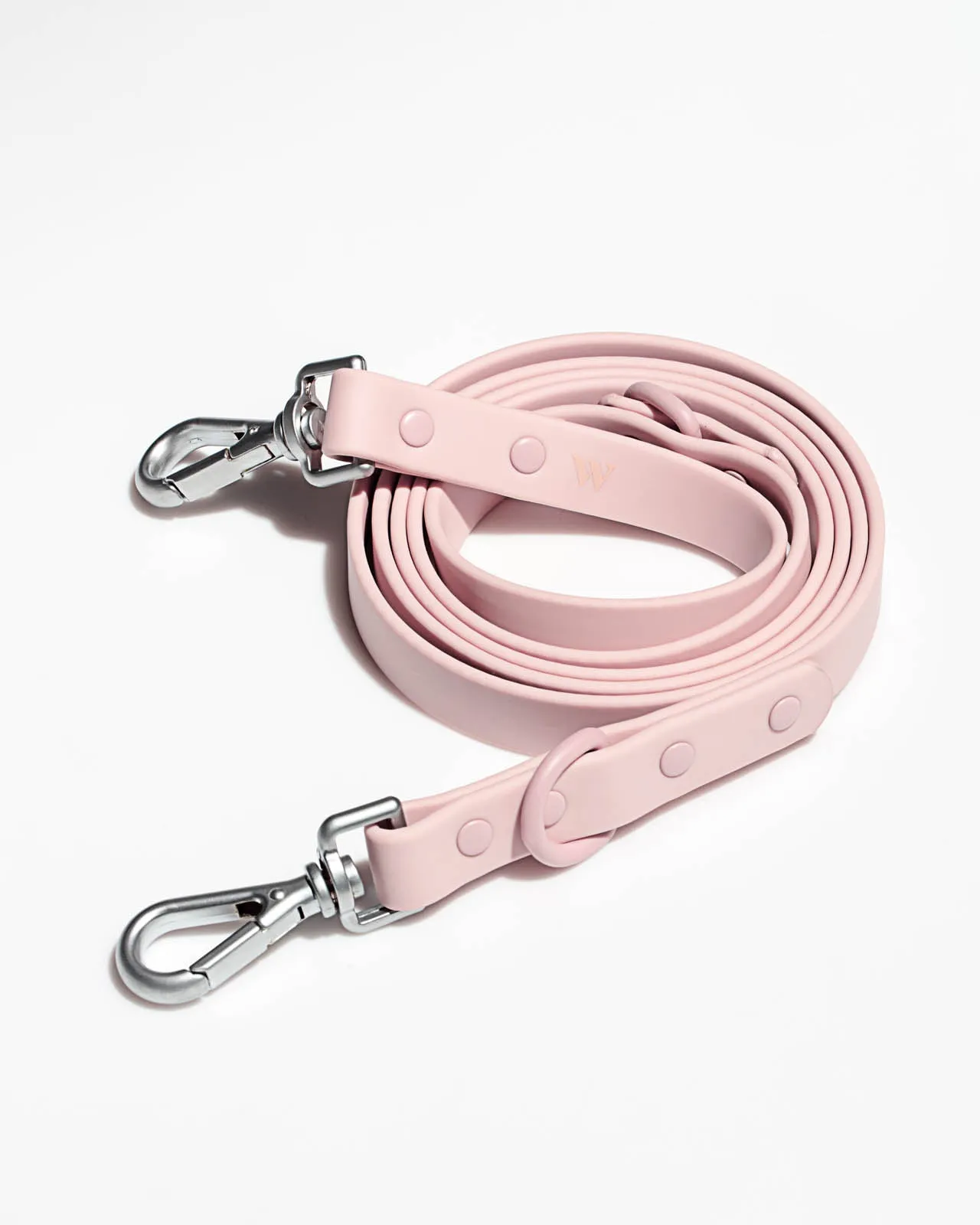 Splendid x Wild One Leash