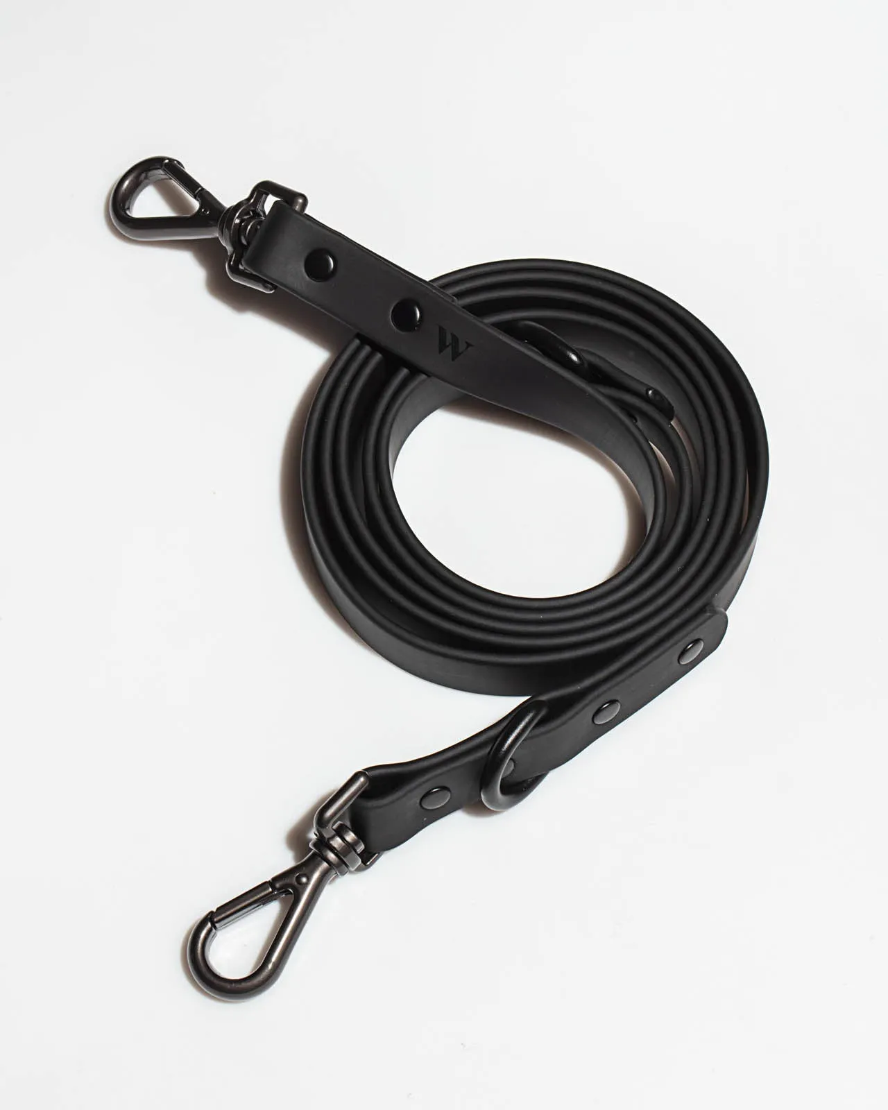 Splendid x Wild One Leash