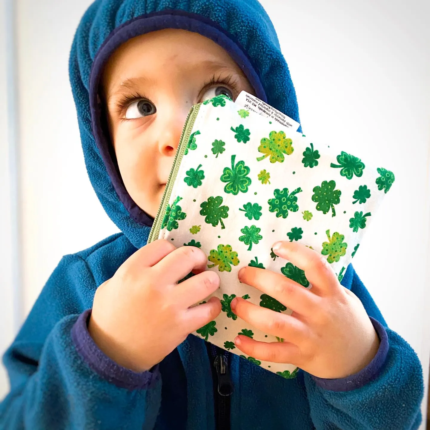 Toddler Sized Reusable Zippered Bag Building Bricks Primary